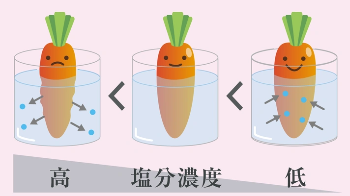 TQ塩石けん皇帝塩入り塩分濃度