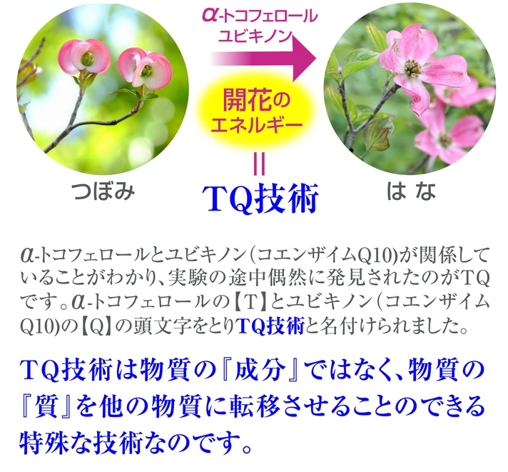 TQ技術のTQ塩石けん皇帝塩入り