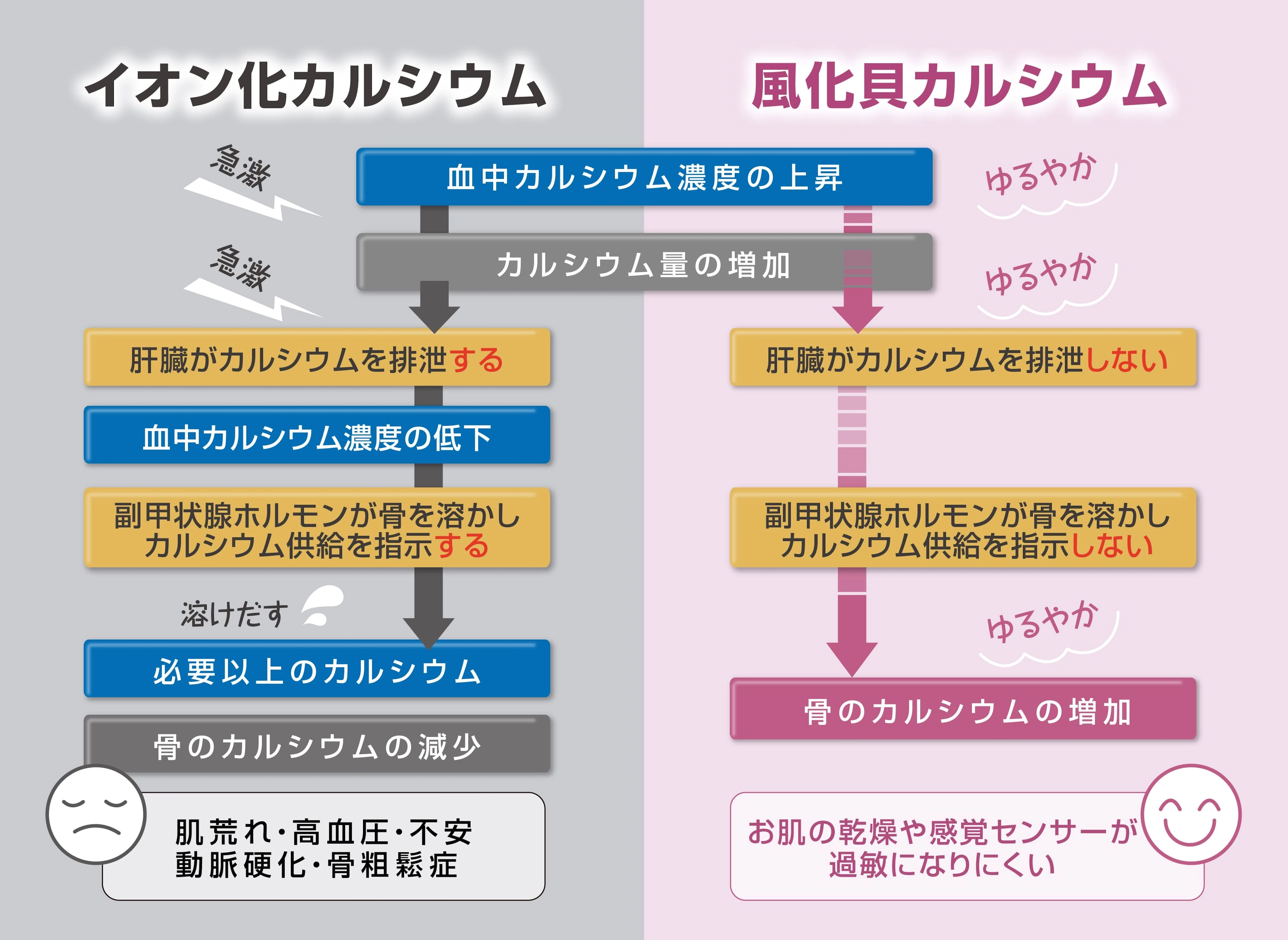 風化貝 八雲産カルシウムパウダー