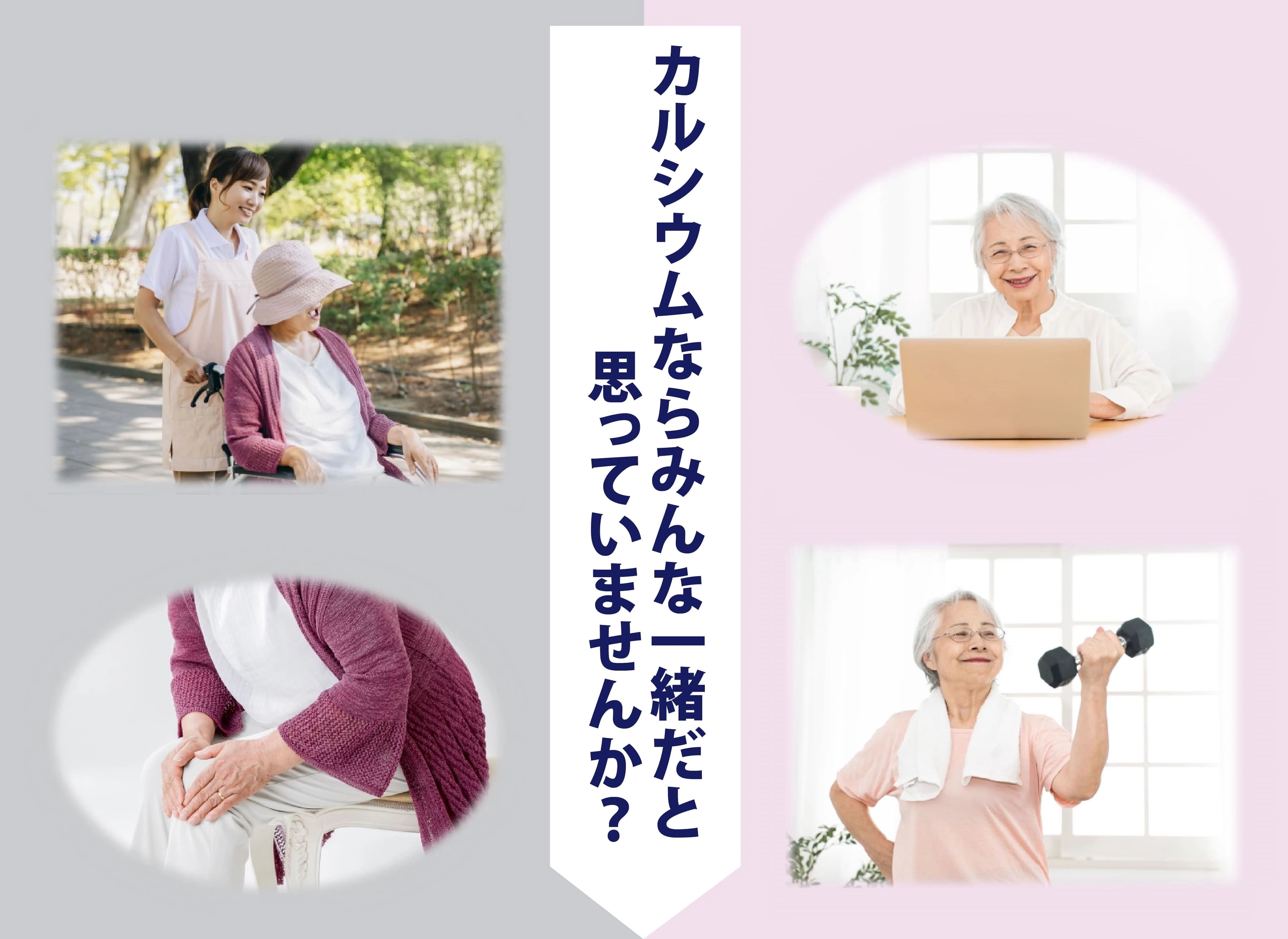 風化貝 八雲産カルシウムパウダー