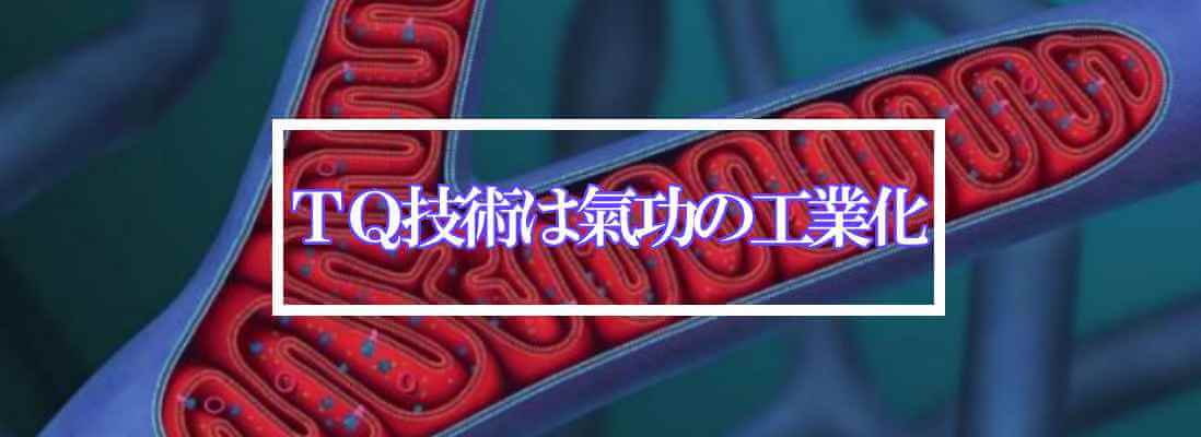 ミトコンドリア活性化